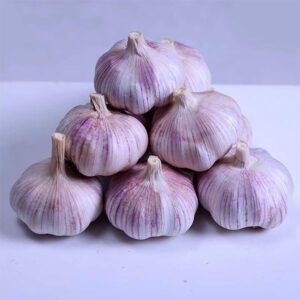 Garlic