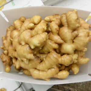 Ginger